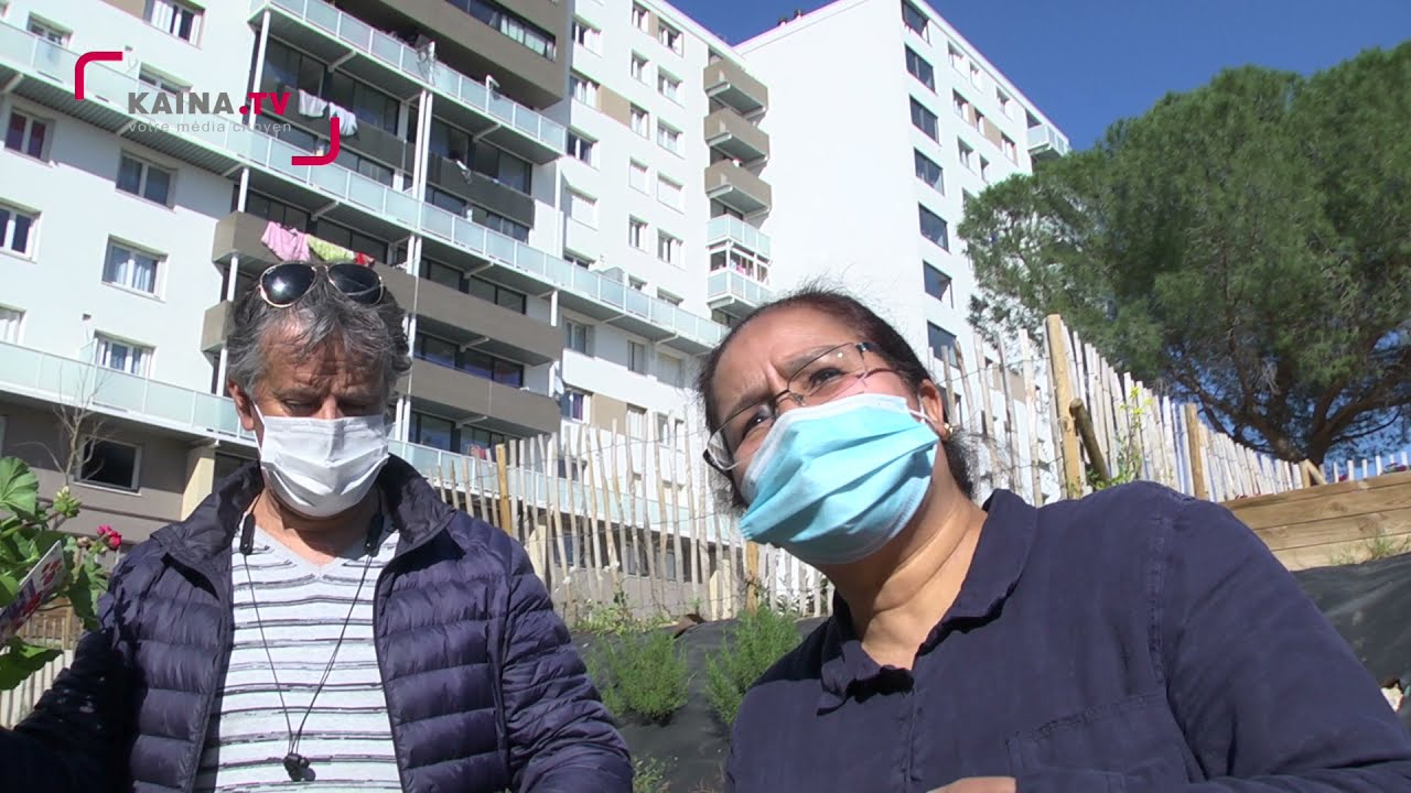 Montpellie/La Paillade : Le jardin partagé des Gémeaux toujours animé.